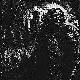 Avatar kanału