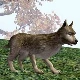 Avatar użytkownika
