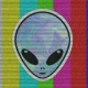 Avatar użytkownika