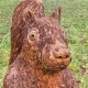 Avatar użytkownika