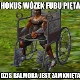 Avatar użytkownika