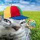 Avatar kanału