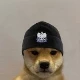 Avatar użytkownika