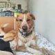 Avatar użytkownika