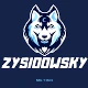 Avatar użytkownika