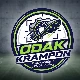 Avatar użytkownika