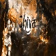 Avatar użytkownika